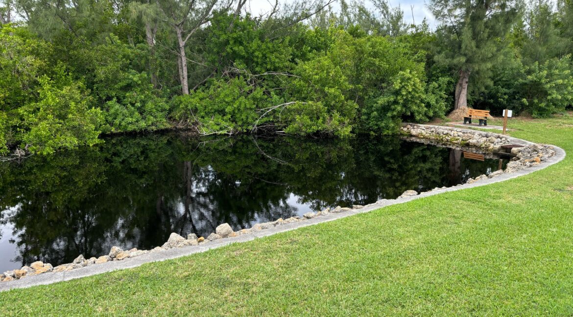 lot 196 back lake