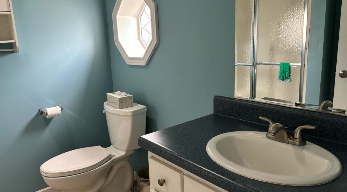 lot 196 bath