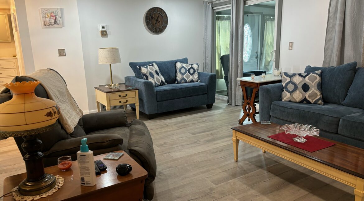 Lot 164 living