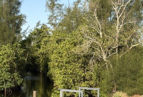 Lot 109 back yard
